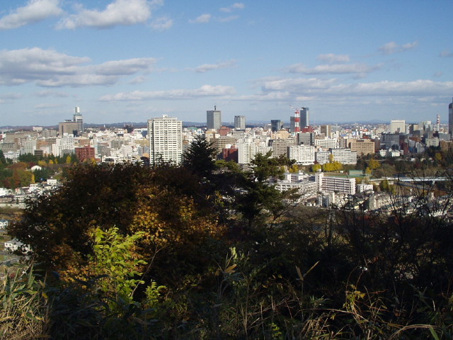 img0015.jpg