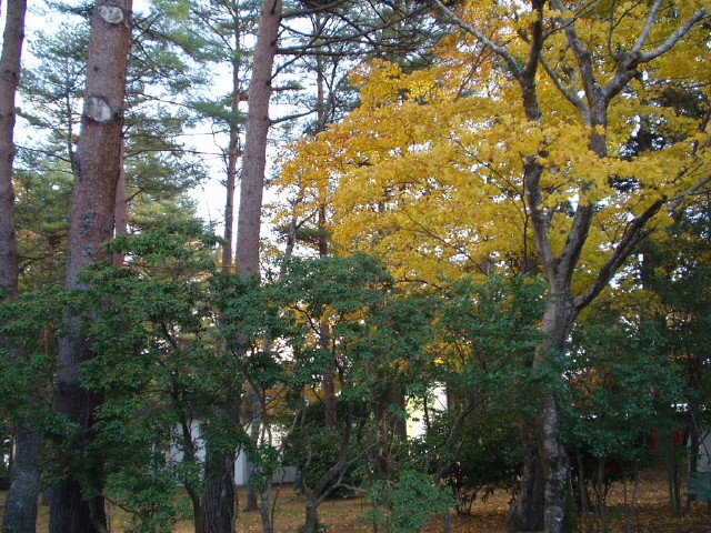 img0023.jpg