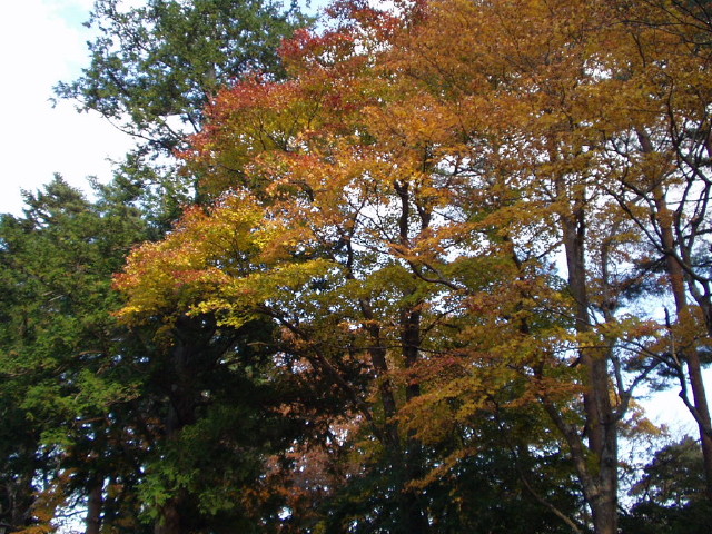 img0024.jpg