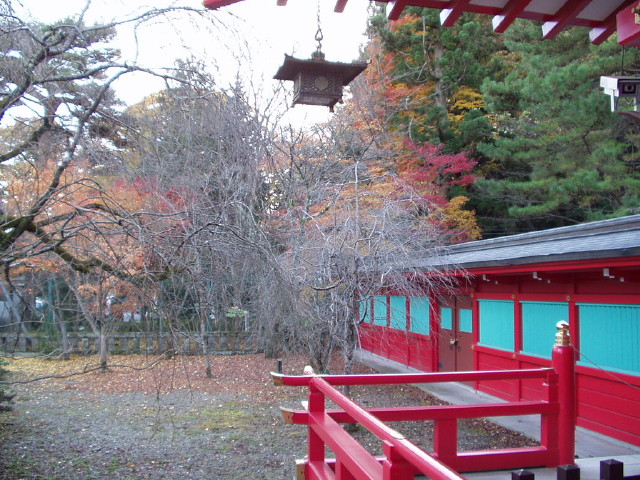 img0026.jpg
