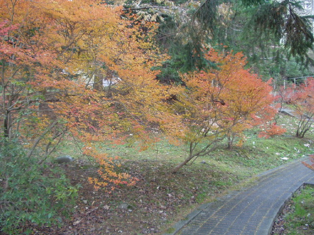 img0030.jpg