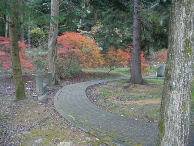 img0031.jpg