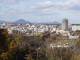 img0019.jpg