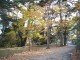 img0020.jpg