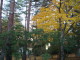 img0023.jpg
