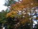 img0024.jpg