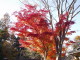 img0027.jpg