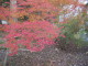 img0029.jpg