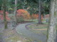 img0031.jpg