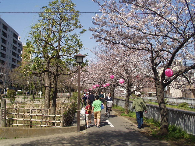 img0003.jpg