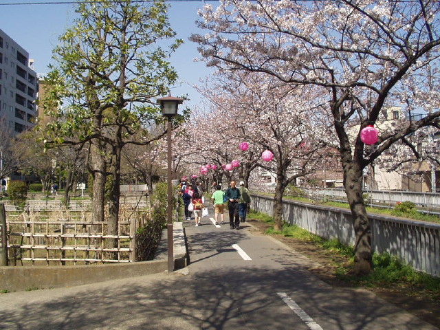 img0004.jpg