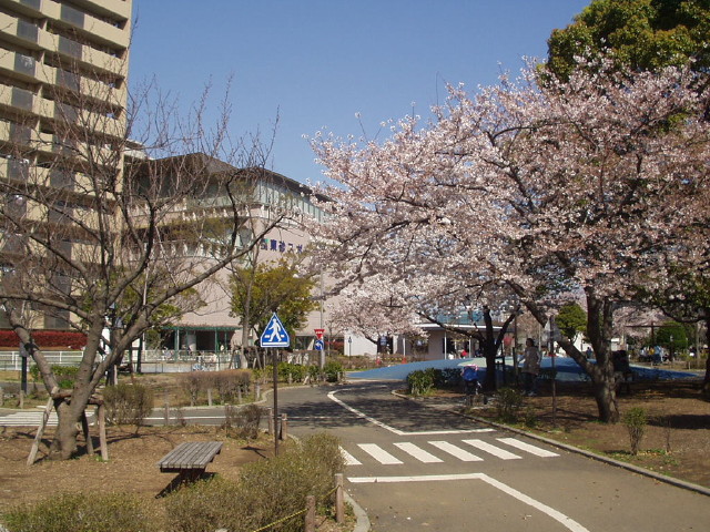 img0007.jpg