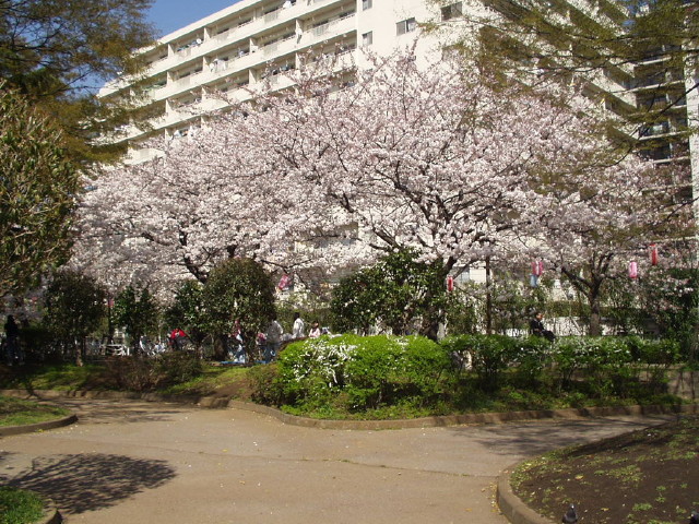 img0008.jpg
