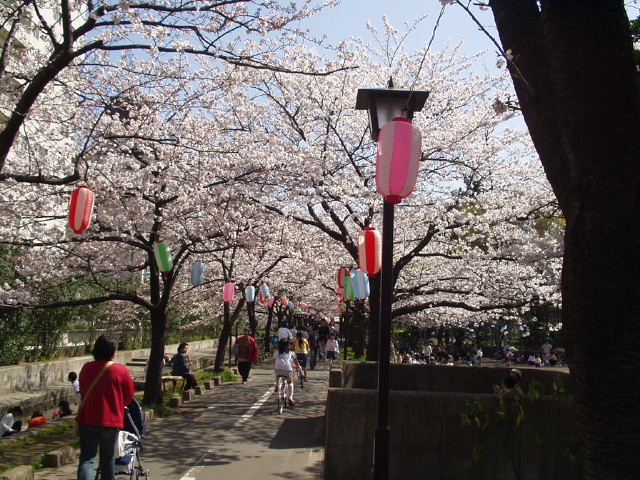 img0009.jpg