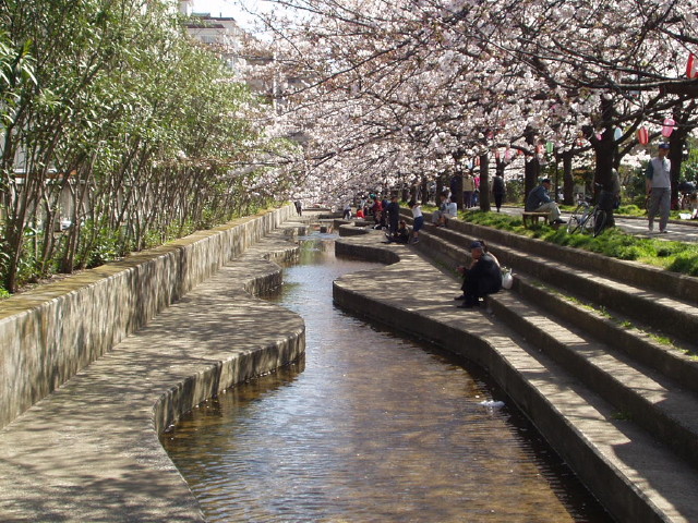 img0010.jpg