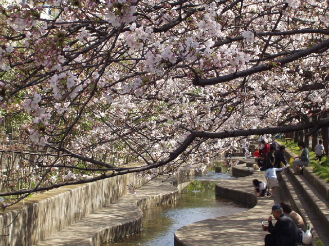 img0011.jpg