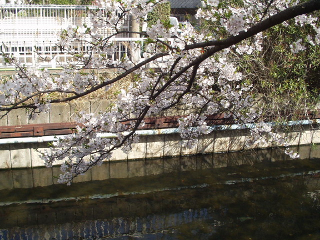 img0012.jpg