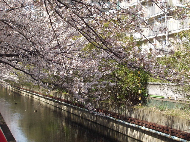 img0013.jpg