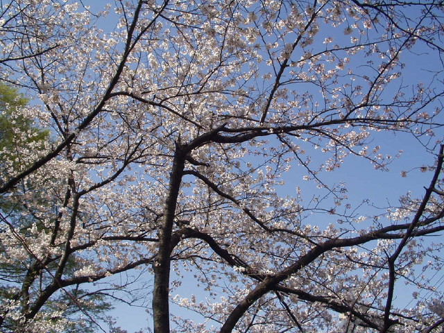 img0015.jpg