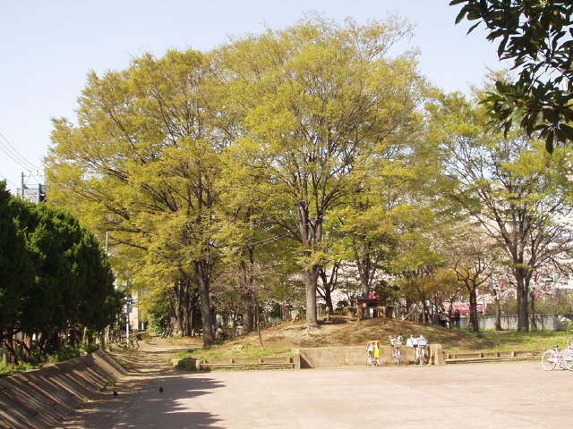 img0016.jpg