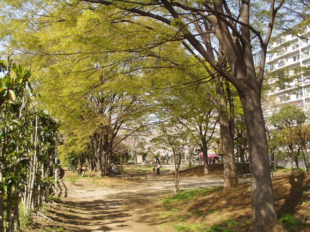 img0018.jpg