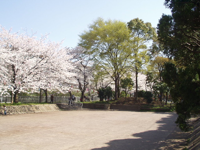 img0019.jpg