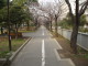 img0002.jpg