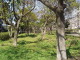 img0005.jpg