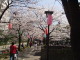 img0009.jpg
