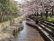 img0010.jpg