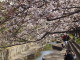 img0011.jpg
