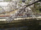 img0012.jpg