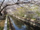 img0014.jpg