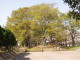 img0016.jpg