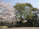img0017.jpg