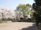 img0019.jpg