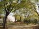 img0020.jpg