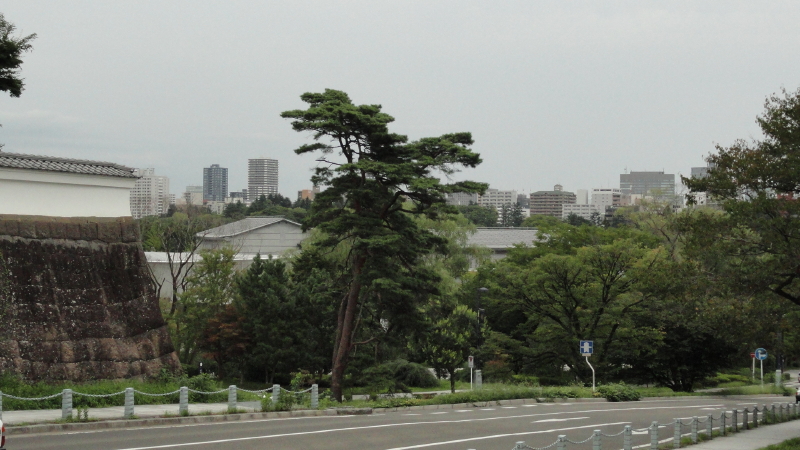 img0004.jpg