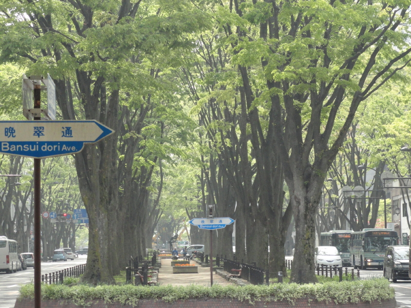 img0003.jpg