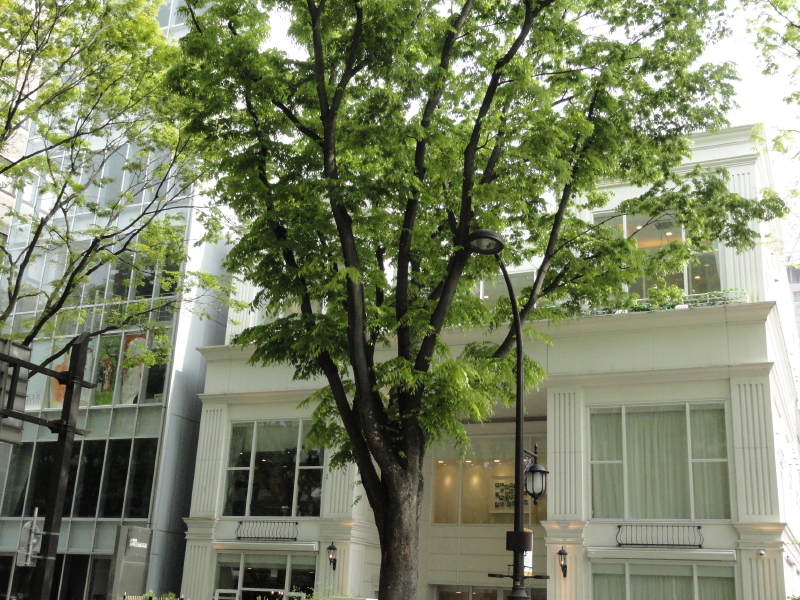 img0006.jpg