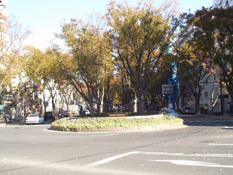 img0010.jpg