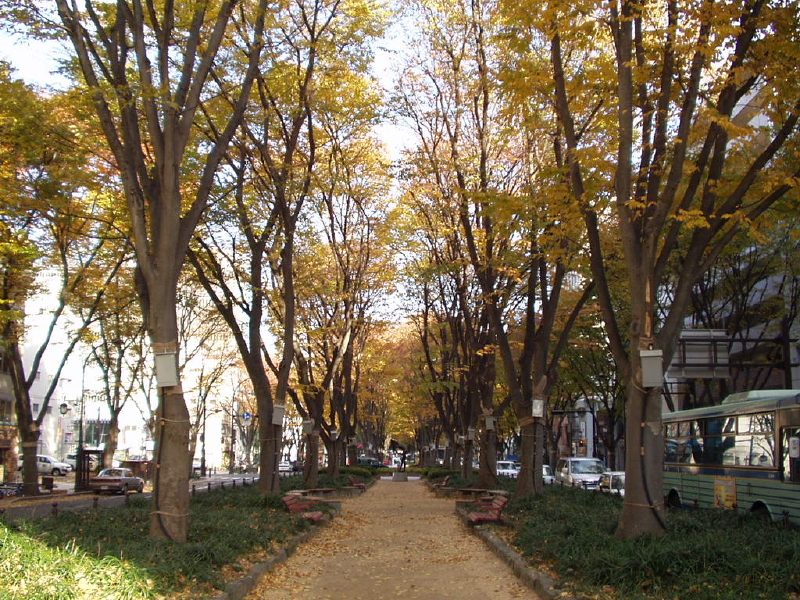 img0020.jpg