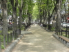 img0001.jpg