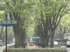 img0003.jpg