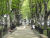 img0004.jpg