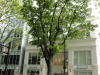 img0006.jpg