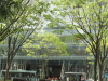 img0007.jpg