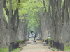 img0009.jpg