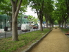 img0017.jpg