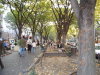img0018.jpg